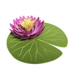 waterlily 3d