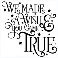 we made a wish and you came true quote