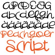 pn beachgoer script