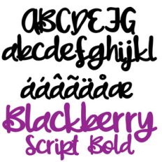 zp blackberry script bold