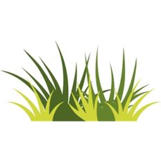 5pc grass