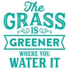 the grass is greener where you water it
