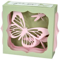 butterfly dragonfly gift card box