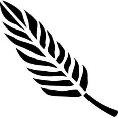 modern feather