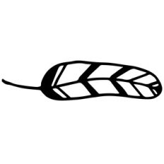 boho feather