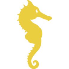 sea horse