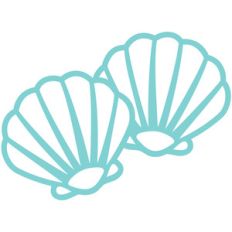 sea shells