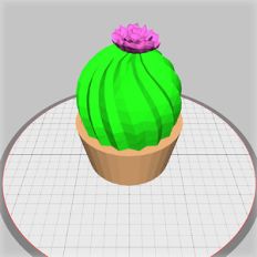 potted cactus box
