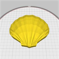 seashell trinket box