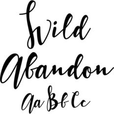 wild abandon script font