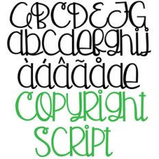 pn copyright script