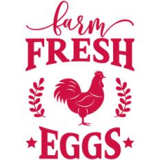 fresh eggs