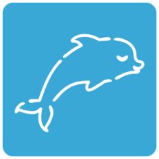 dolphin stencil card