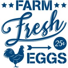 fresh eggs