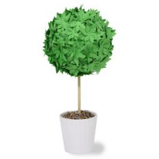 succulent medium topiary