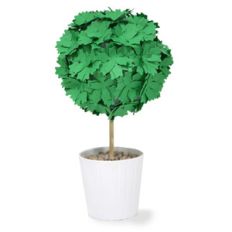succulent short topiary