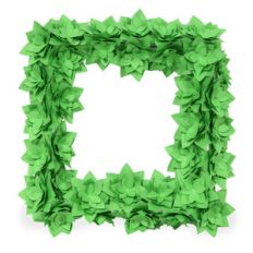 succulent wreath