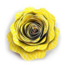rolled flower