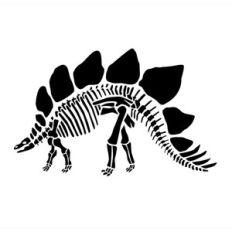 stegosaurus skeleton