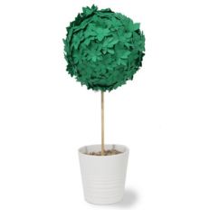 succulent tall topiary