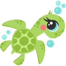 sea turtle