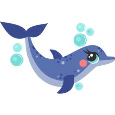 dolphin