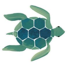sea turtle
