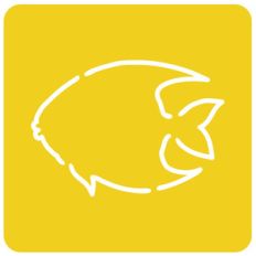 fish stencil card