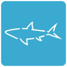 shark stencil card