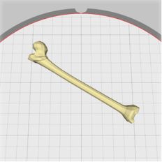 bone embellishment