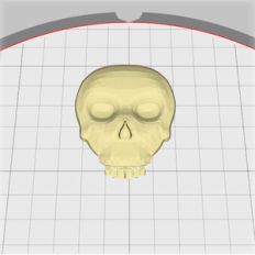 skull embellishment