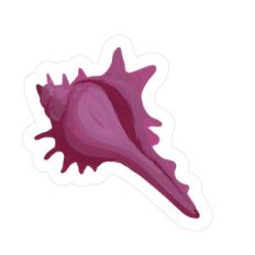 seashell