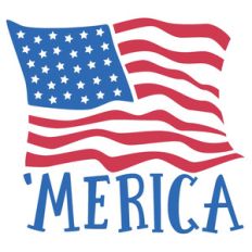 'merica flag