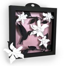 3d hummingbird shadow box