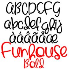 zp funhouse bold