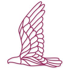 flying eagle