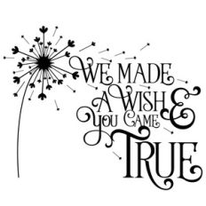 we made a wish quote
