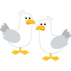 seagulls - sweet summer