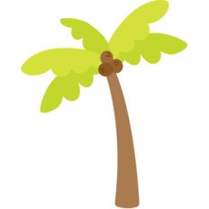 palm tree - sweet summer