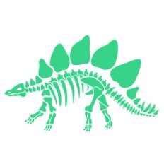 dinosaur bones