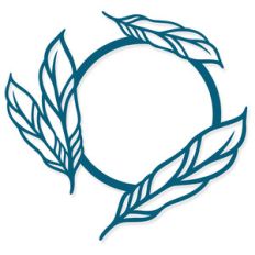 feathers monogram frame