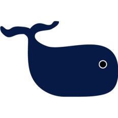echo park whale