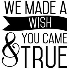 we made a wish and you came true quote