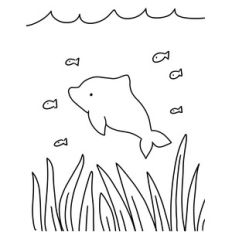 dolphin coloring page
