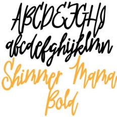 pn shimmer mama bold