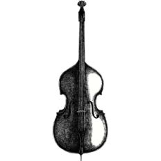 echo park violin