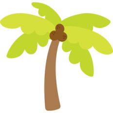palm tree - sweet summer