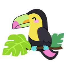 toucan