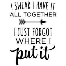 i swear i have it all together phrase