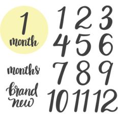 baby months onesie kit